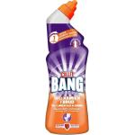 Засоби для догляду за ванною та туалетом