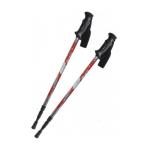 Палки для ходьбы