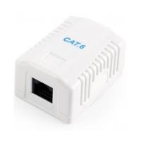 Компьютерная розетка Cablexpert RJ45x1 UTP cat.6 Фото