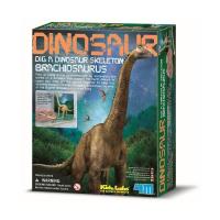 Набор для экспериментов 4М Скелет брахиозавра Фото