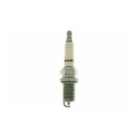 Свеча зажигания Champion OE042/T10 Фото