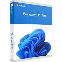 Операционная система Microsoft Windows 11 Pro 64Bit Eng Intl 1pk DSP OEI DVD Фото