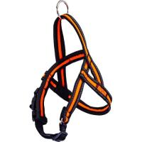 Шлей для собак GimDog Alfresco Y неопрен 1.5х42 45-55 см оранжевая Фото