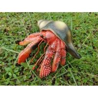 Фигурка Lanka Novelties Рак-отшельник красный с раковиной, 15 см Фото