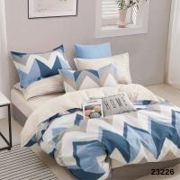 Постельное белье Viluta 23226 ранфорс евро Фото