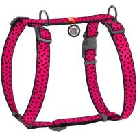 Шлей для собак WAUDOG Nylon с QR паспортом анатомическая H-образная "Арб Фото