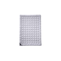 Ковдра Billerbeck 543 Sari Superlight 200x220 см Фото
