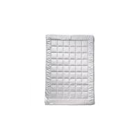 Одеяло Billerbeck E43 Diadem Superlight 200x220 см Фото