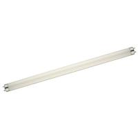 Лампочка Delux F 15W/BL 350 G13 Фото