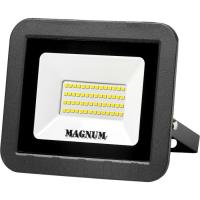 Прожектор MAGNUM FL ECO LED 50Вт slim 6500К IP65 Фото