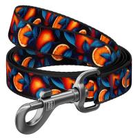 Повідець для собак WAUDOG Nylon "Апельсини" M, Ш 20 мм, Д 200 см Фото
