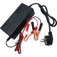 Сетевое зарядное устройство для АКБ Voltronic LiFePO4 12V(14.6V), 4S, 10A Фото