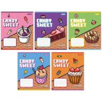 Зошит 1 вересня Candy sweet А5 12 аркушів коса лінія Фото