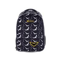 Рюкзак шкільний Astrabag AS2 Night bats ультралегкий Фото
