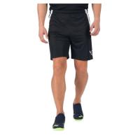Шорты Puma teamLIGA Shorts 704924-03 чорний S Фото