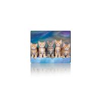 Килимок для мишки Voltronic Five Cats Фото