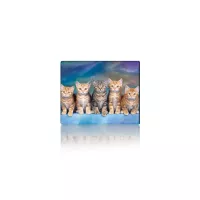 Коврик для мышки Voltronic Five Cats Фото