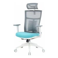 Офисное кресло OfficePro Balance OC550-W-DG-BL Фото