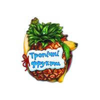 Книга Ранок Тропічні фрукти - Ірина Сонечко Фото