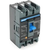 Автоматический выключатель CHINT NXM-125S-3300-100A Фото