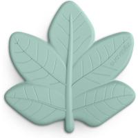 Прорізувач Suavinex Poetry листочок, зелений Фото