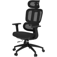 Офісне крісло OfficePro Skyline OC580-B-B-B Фото