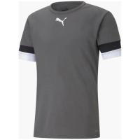 Футболка Puma teamRISE Jersey 704932-13 сірий L Фото