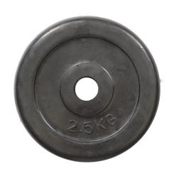 Диск для штанги HSF R-2.5 Фото