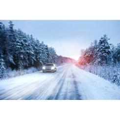 Автолампа Philips H4 WhiteVision Ultra +60% 2шт Фото 2