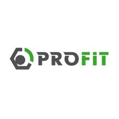 Воздушный фильтр для автомобиля Profit 1512-3125 Фото