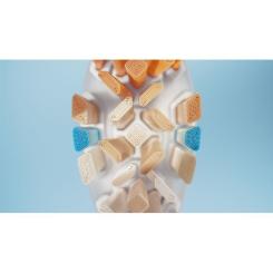 Насадка для зубной щетки Philips HX9092/10 Фото 3