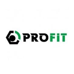 Воздушный фильтр для автомобиля Profit 1512-4267 Фото