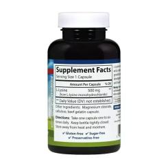 Аминокислота Carlson Лізин 500мг, L-Lysine, 100 капсул Фото 1