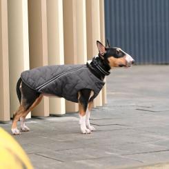 Жилет для животных Pet Fashion "E.Vest" S-M серый Фото 2