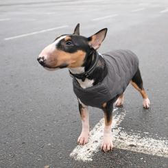 Жилет для животных Pet Fashion "E.Vest" S-M серый Фото 3