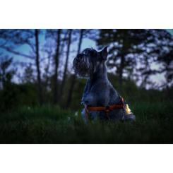 Фонарь Armytek Zippy Yellow Фото 7