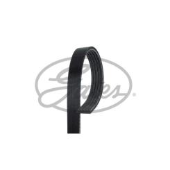 Поликлиновый ремень Gates 5PK1123 Фото