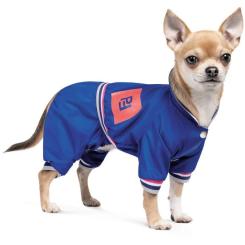 Дождевик для животных Pet Fashion Silver S Фото 1