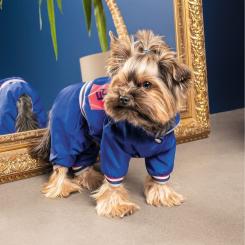 Дождевик для животных Pet Fashion Silver S Фото 2