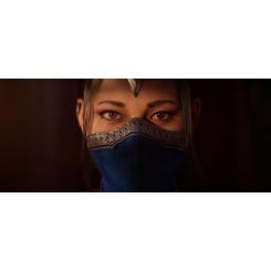 Игра Nintendo Mortal Kombat 1 (2023), картридж Фото 9