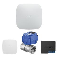 Комплект охранной сигнализации Ajax AHWL2E3.4220V Фото