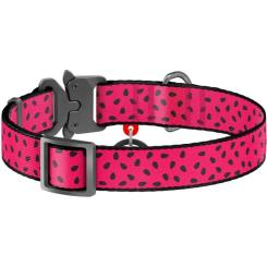 Ошейник для животных WAUDOG Nylon "Кавун" металічна пряжка-фастекс L Фото 1