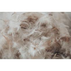 Подушка MirSon пуховая Extra 108 упругая 40x60 см Фото 7