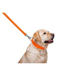 Поводок для собак WAUDOG Glamour кожаный M-XXL оранжевый Фото 3