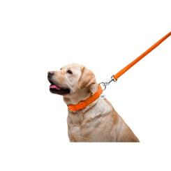 Поводок для собак WAUDOG Glamour кожаный M-XXL оранжевый Фото 4