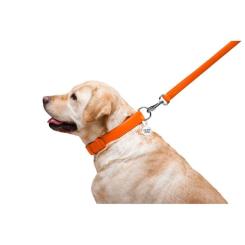 Поводок для собак WAUDOG Glamour кожаный M-XXL оранжевый Фото 5