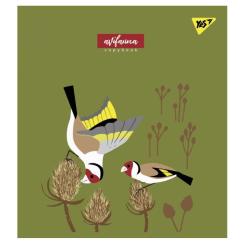 Тетрадь Yes А5 Avifauna 24 аркуша лінія Фото 1