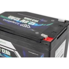Батарея LiFePo4 Longttech LiFePO4 12.8V - 12Ah Фото 6