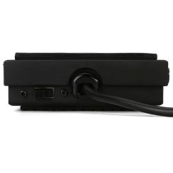 Педаль для клавишных M-Audio SP-1 Фото 1