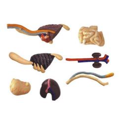 Пазл 4D Master Master Тиранозавр Фото 9